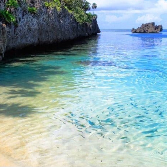 Meet your Posher, Bree! Open Minded to trades if interested. Happy Shopping 🛍 - Picture 4 of 15